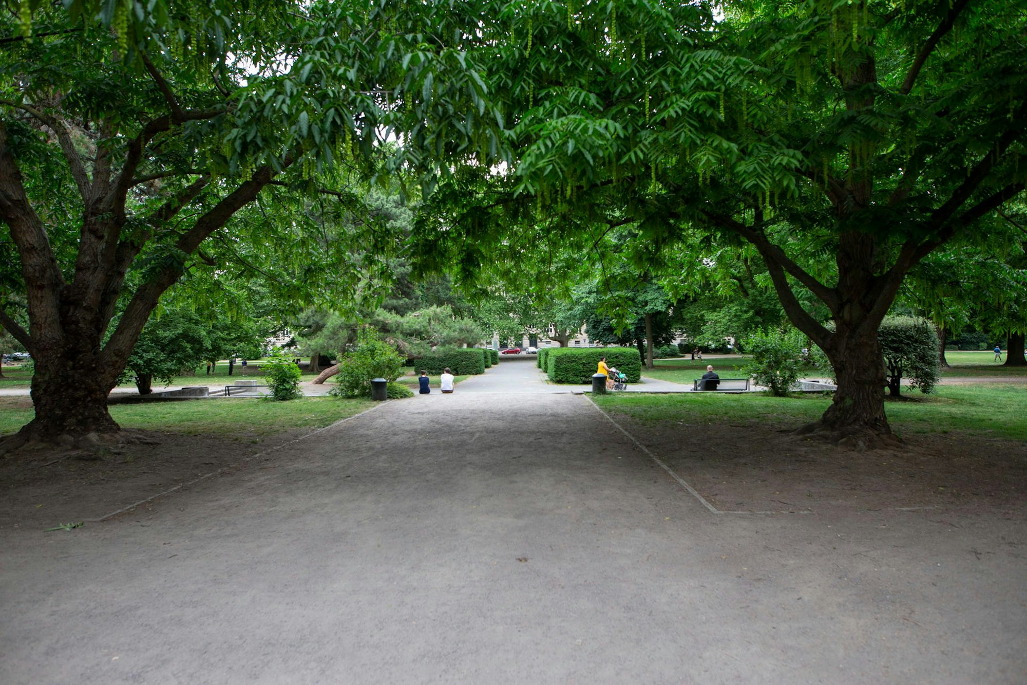 20200604_tb_Suedstadt_Sommerserie_010