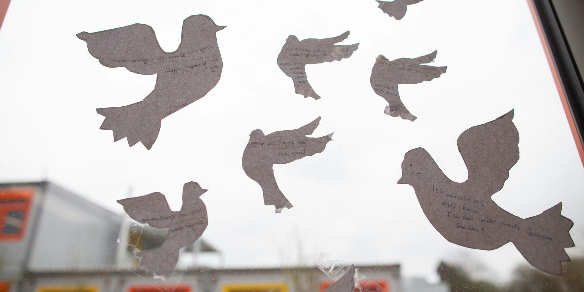 2022031_tb_Schulklasse_Ukraine_001