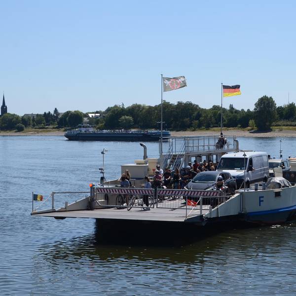 Neuer Inhalt