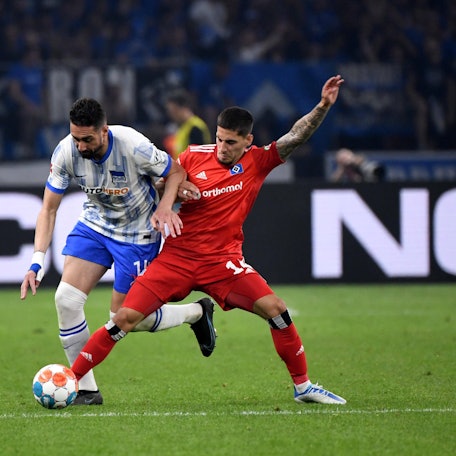 Relegation HSV HErtha