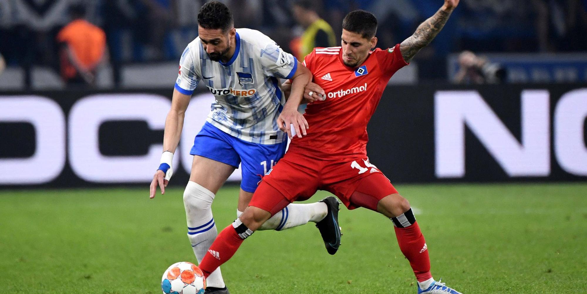 Relegation HSV HErtha