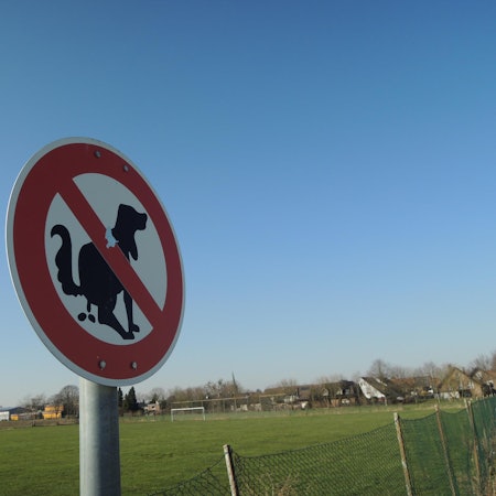 20220304-ker-rj-farbige-hundehaufen-12