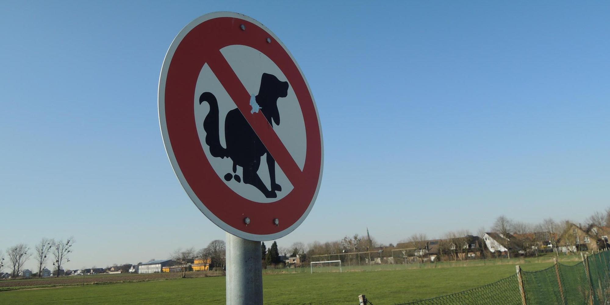 20220304-ker-rj-farbige-hundehaufen-12