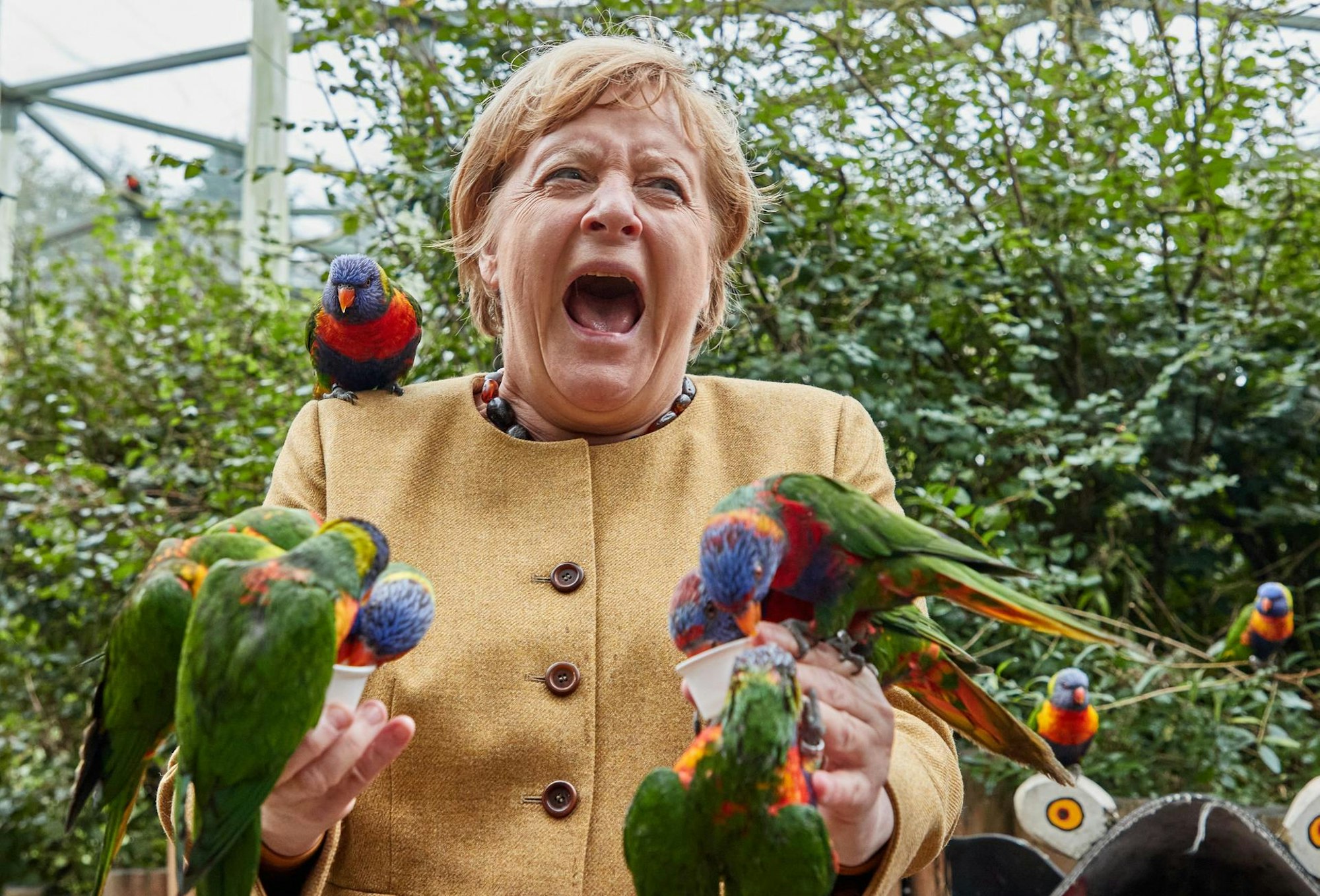 Neuer Inhalt