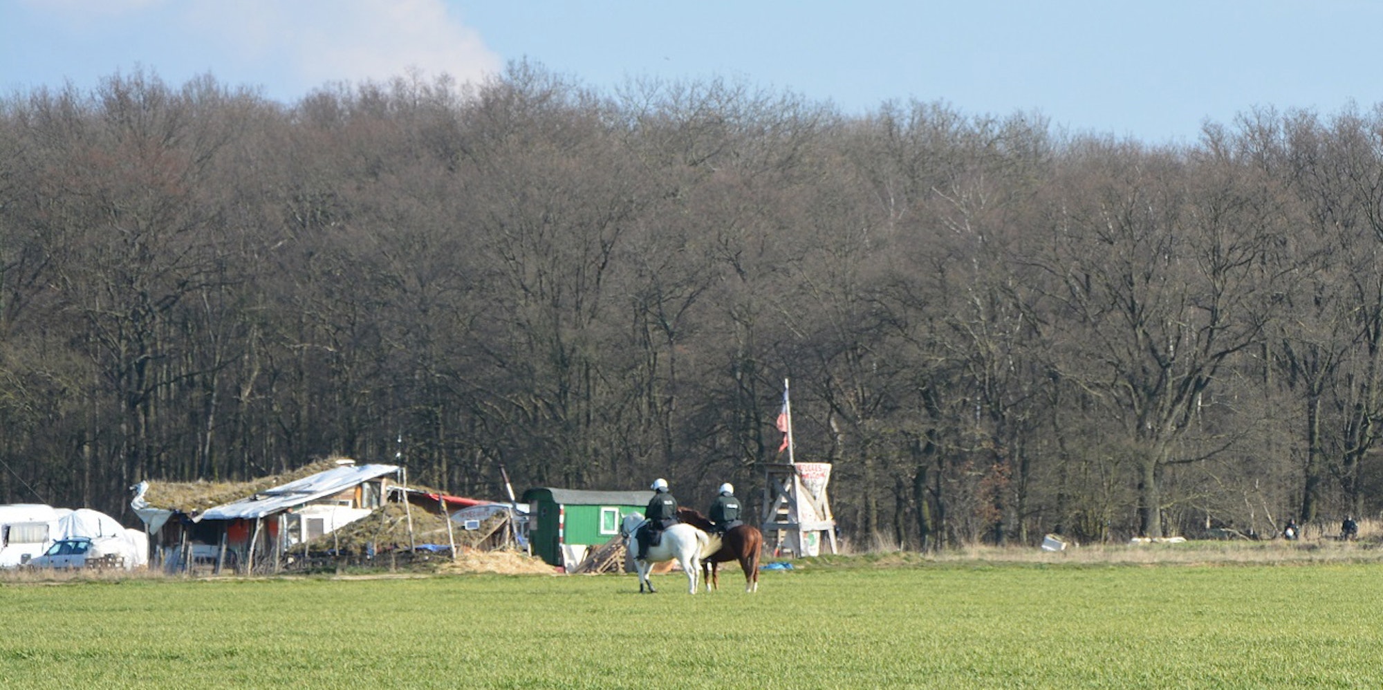 Pferde Hambacher Forst