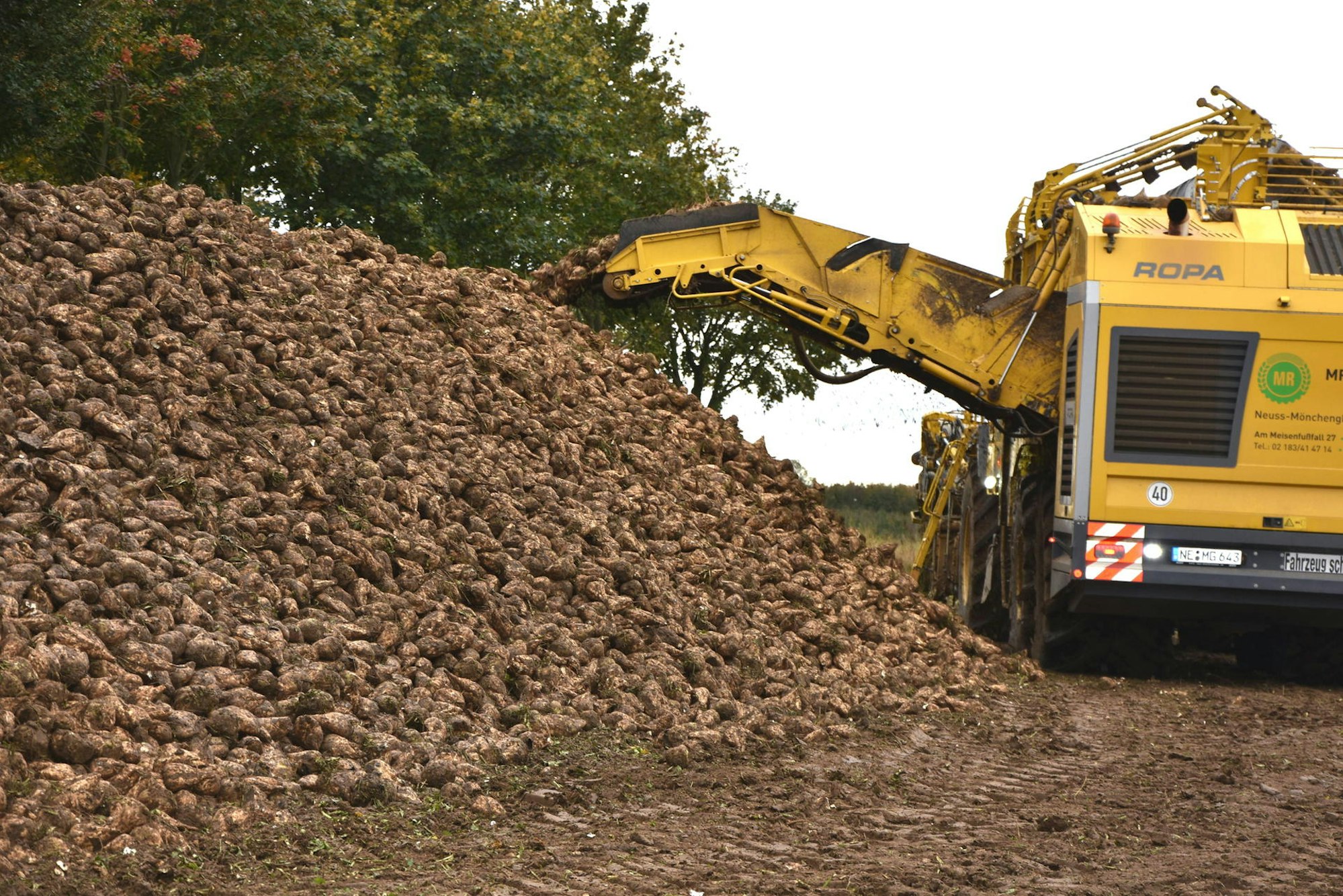 kr-Ruebenernte-FTZ_(24)