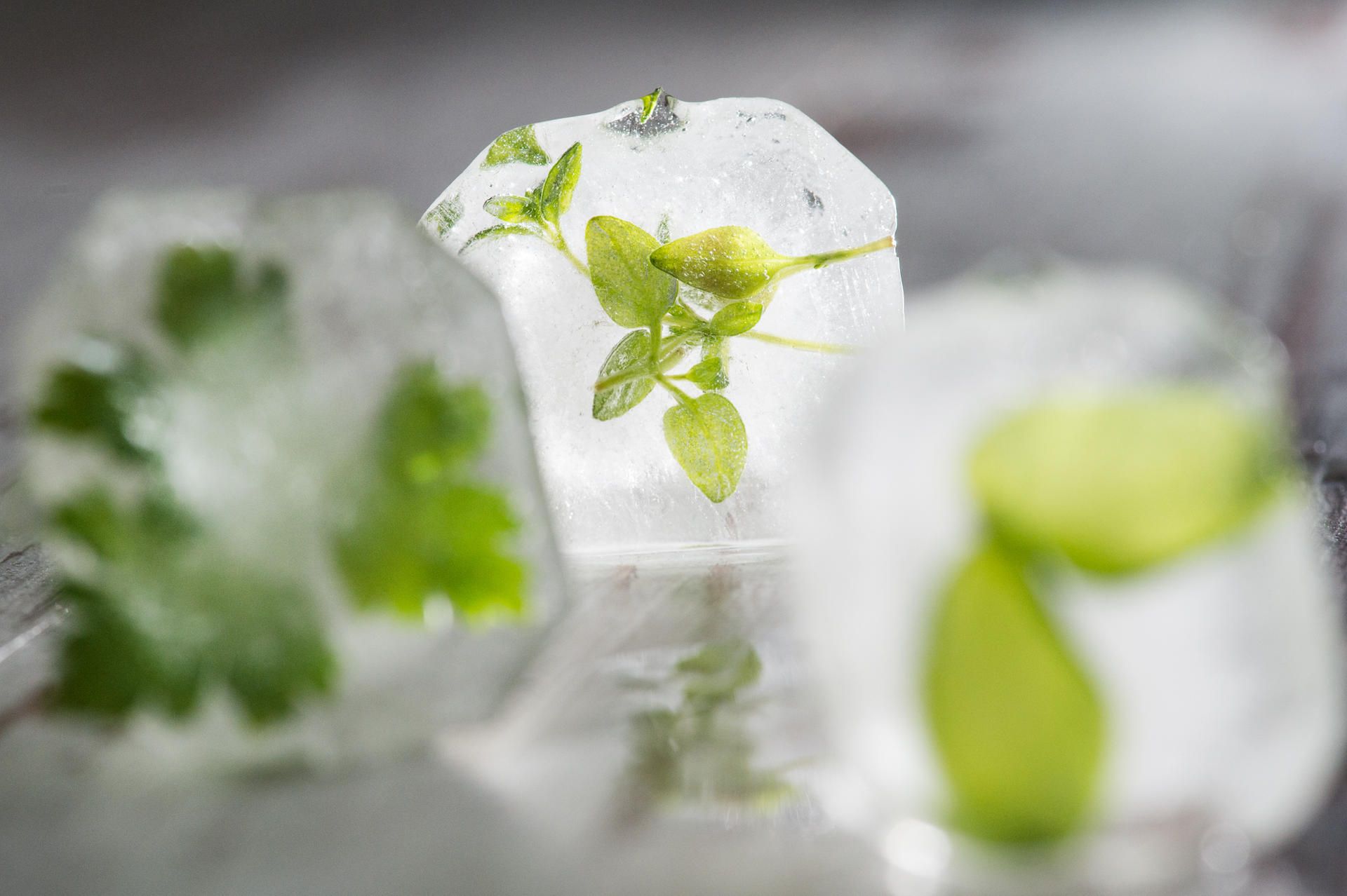 eismitobst