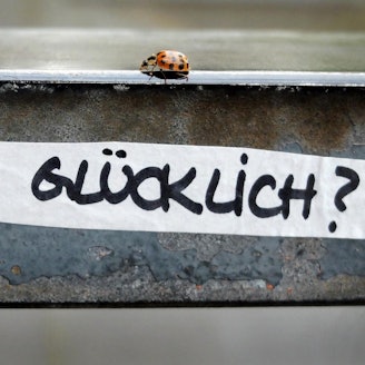 Glück Glücksreport dpa