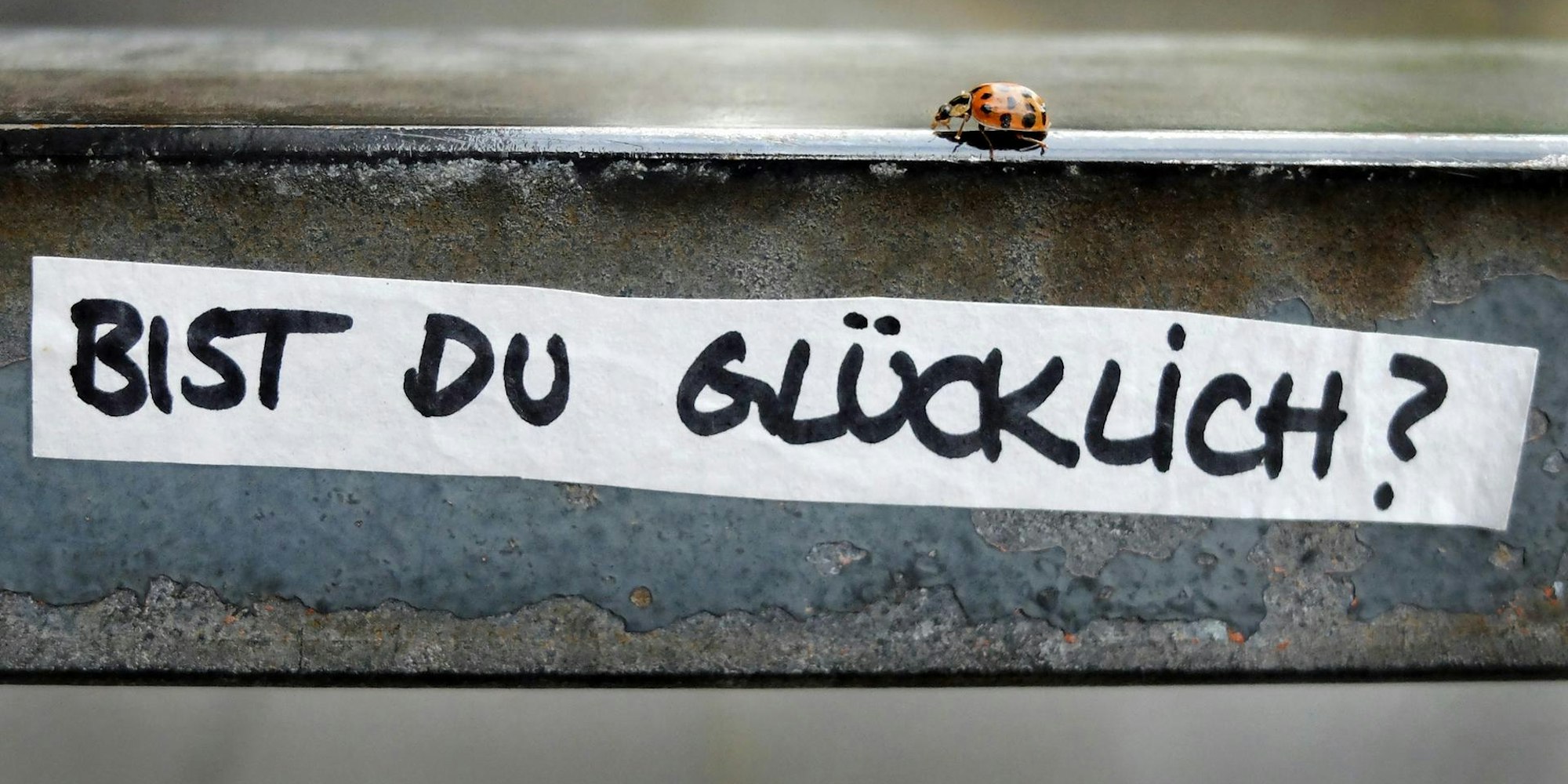 Glück Glücksreport dpa