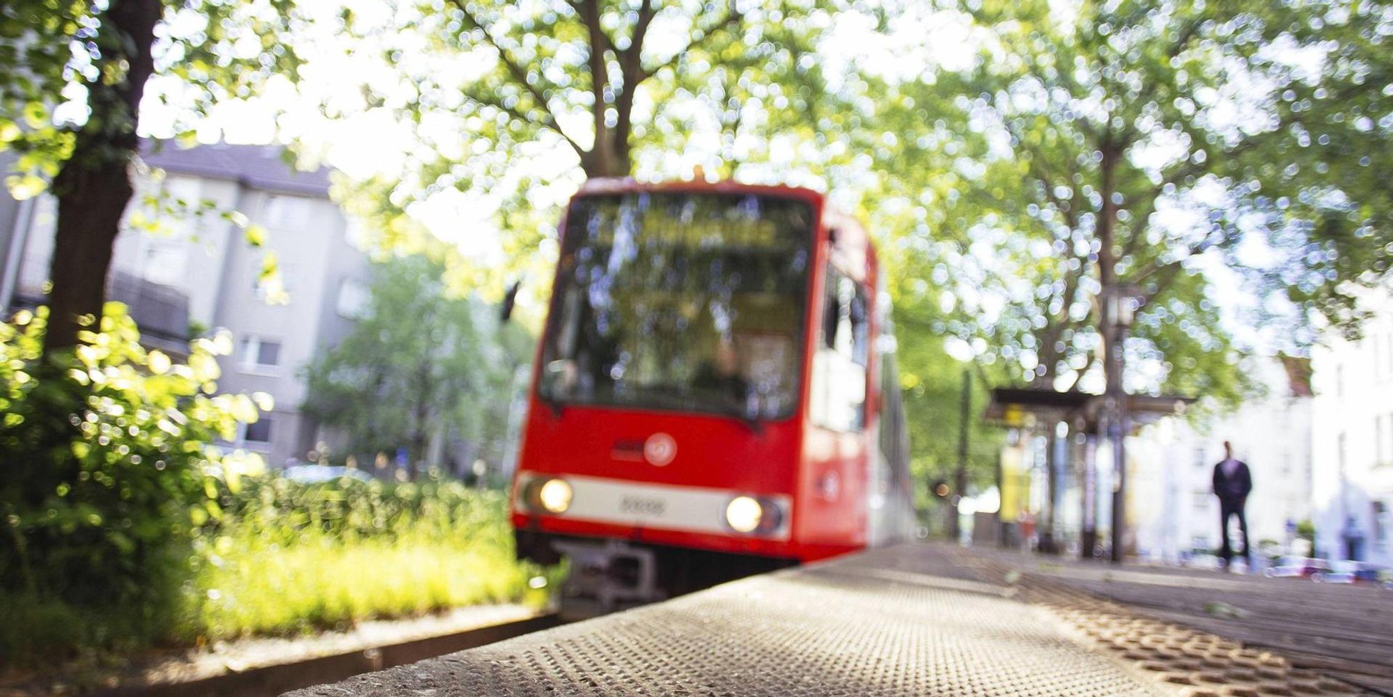 KVB bahn