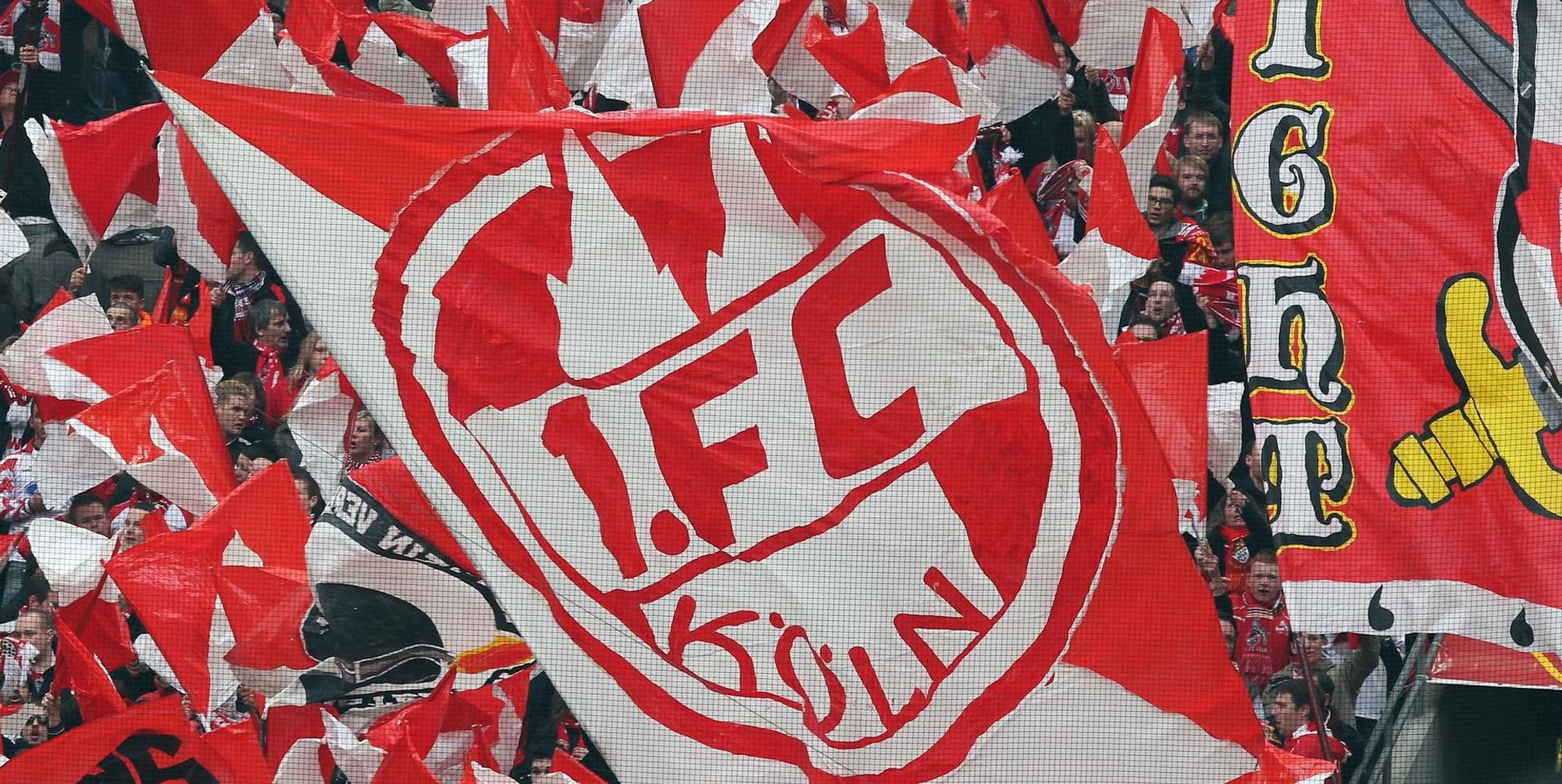 Wehrle FC 061119