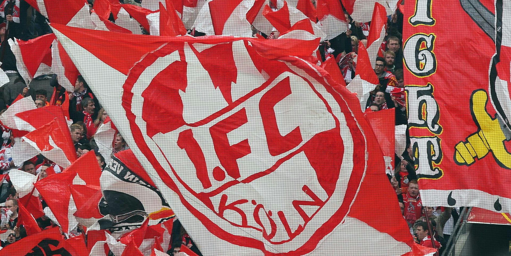 Wehrle FC 061119