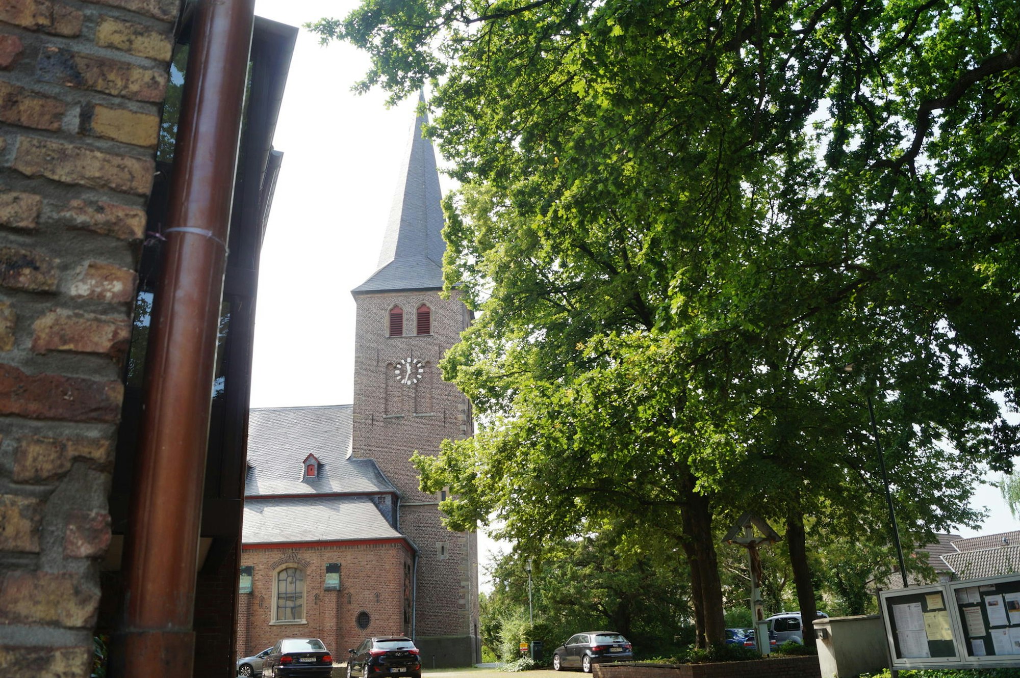 DSC08512 BILD 1