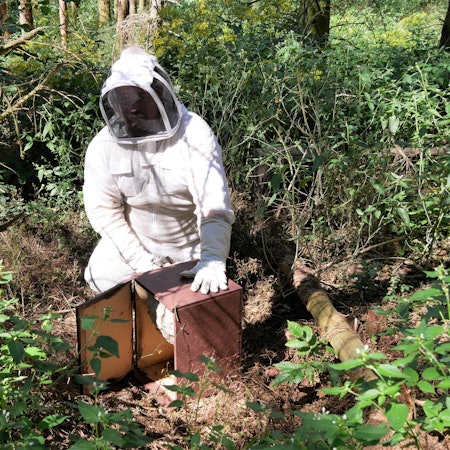 Imker Sascha Theisgen 1