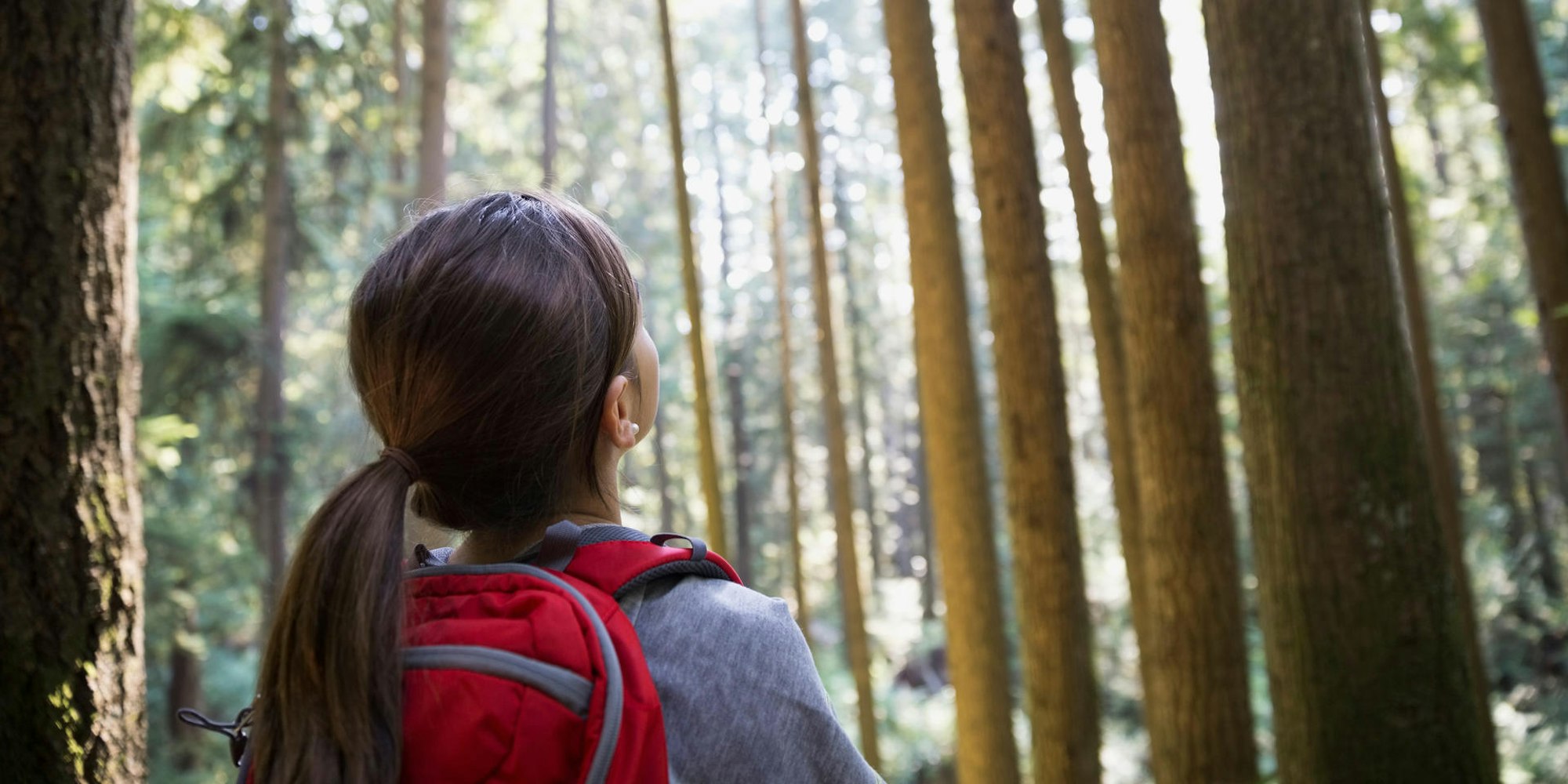 Mädchen Bäume wandern kids on tour