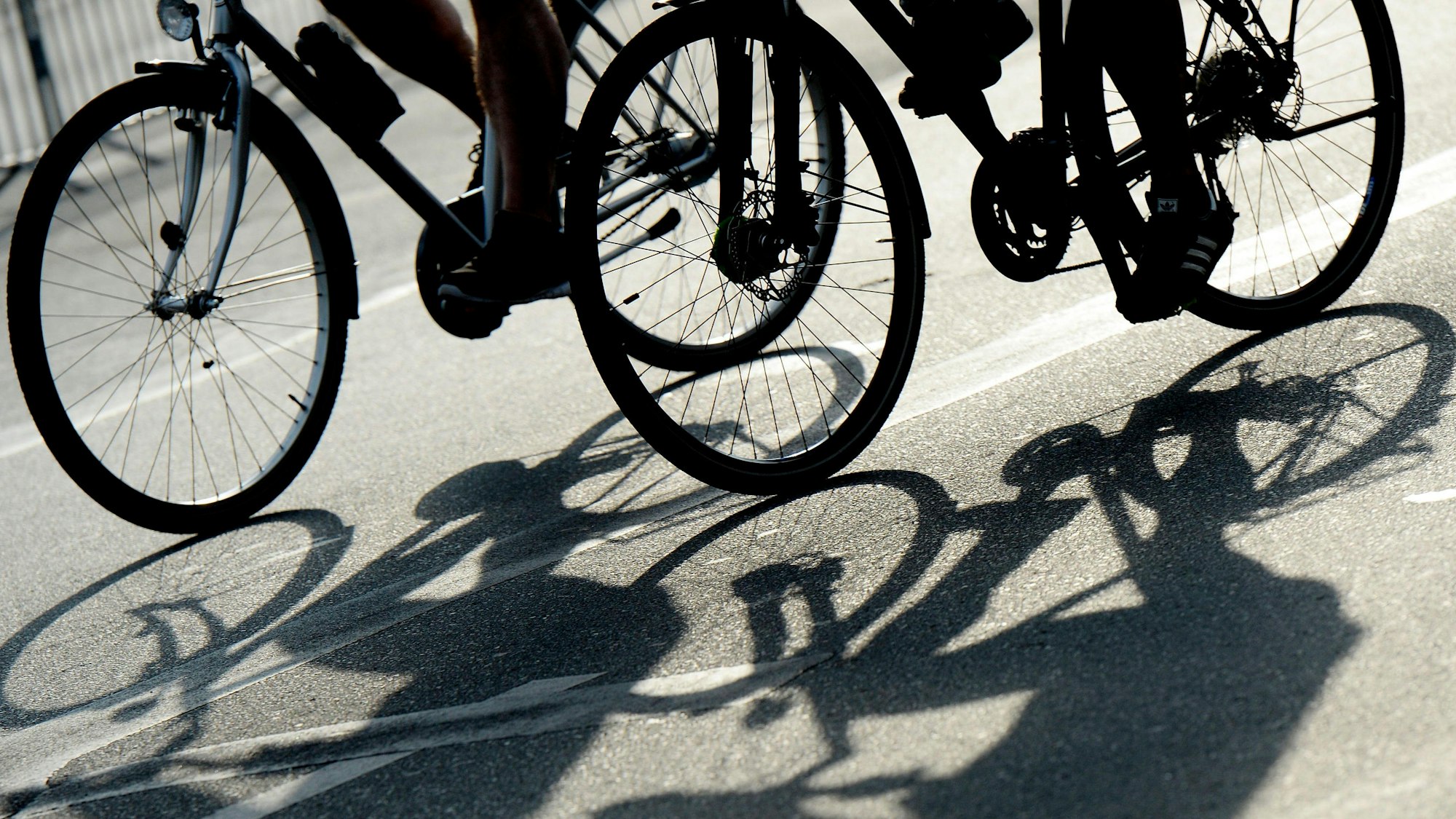 Zwei Fahrradfahrer im Gegenlicht.