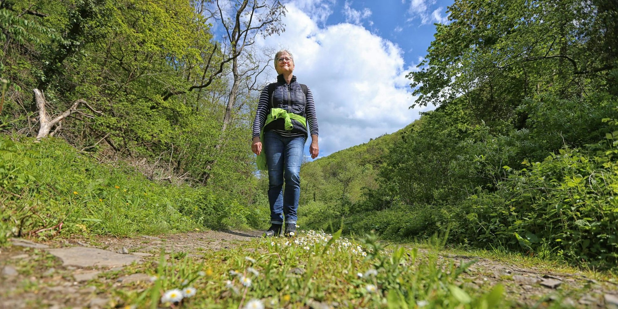 mosel rheinland entdecker