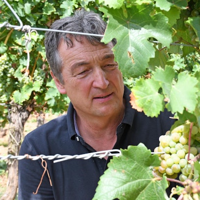 Freytag neue Rebsorten dpa