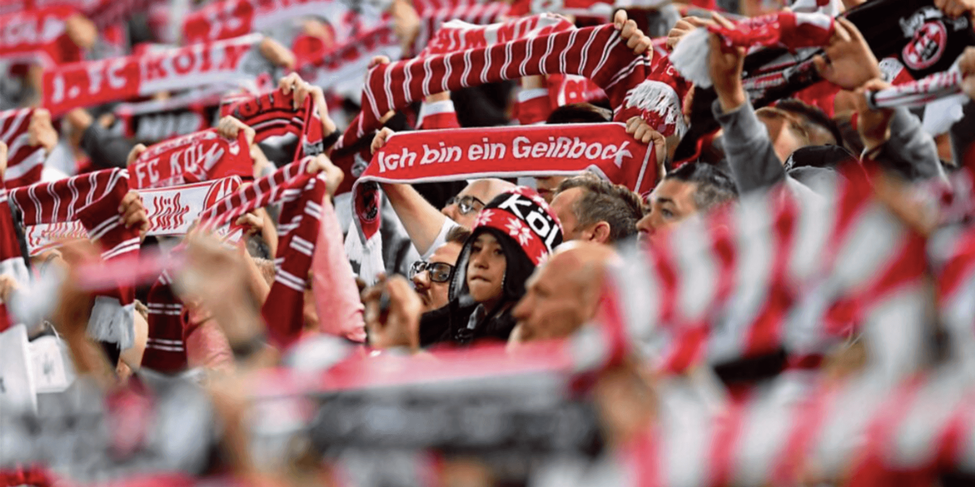 Neuer Inhalt