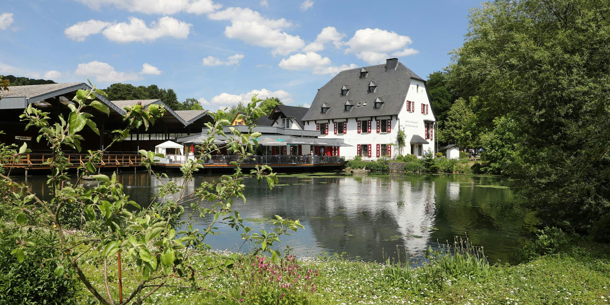 Bergische_Wanderwoche_2019_7450