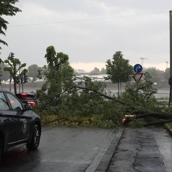 Unwetter Köln Symbol