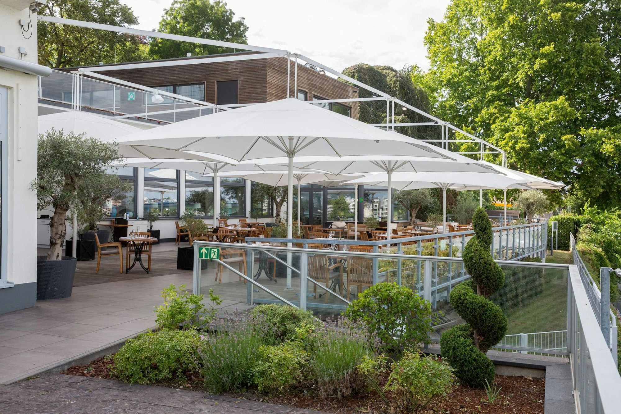 20200707-MBA-Oliveto018