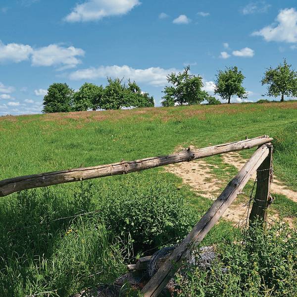 Odenthal Wiese