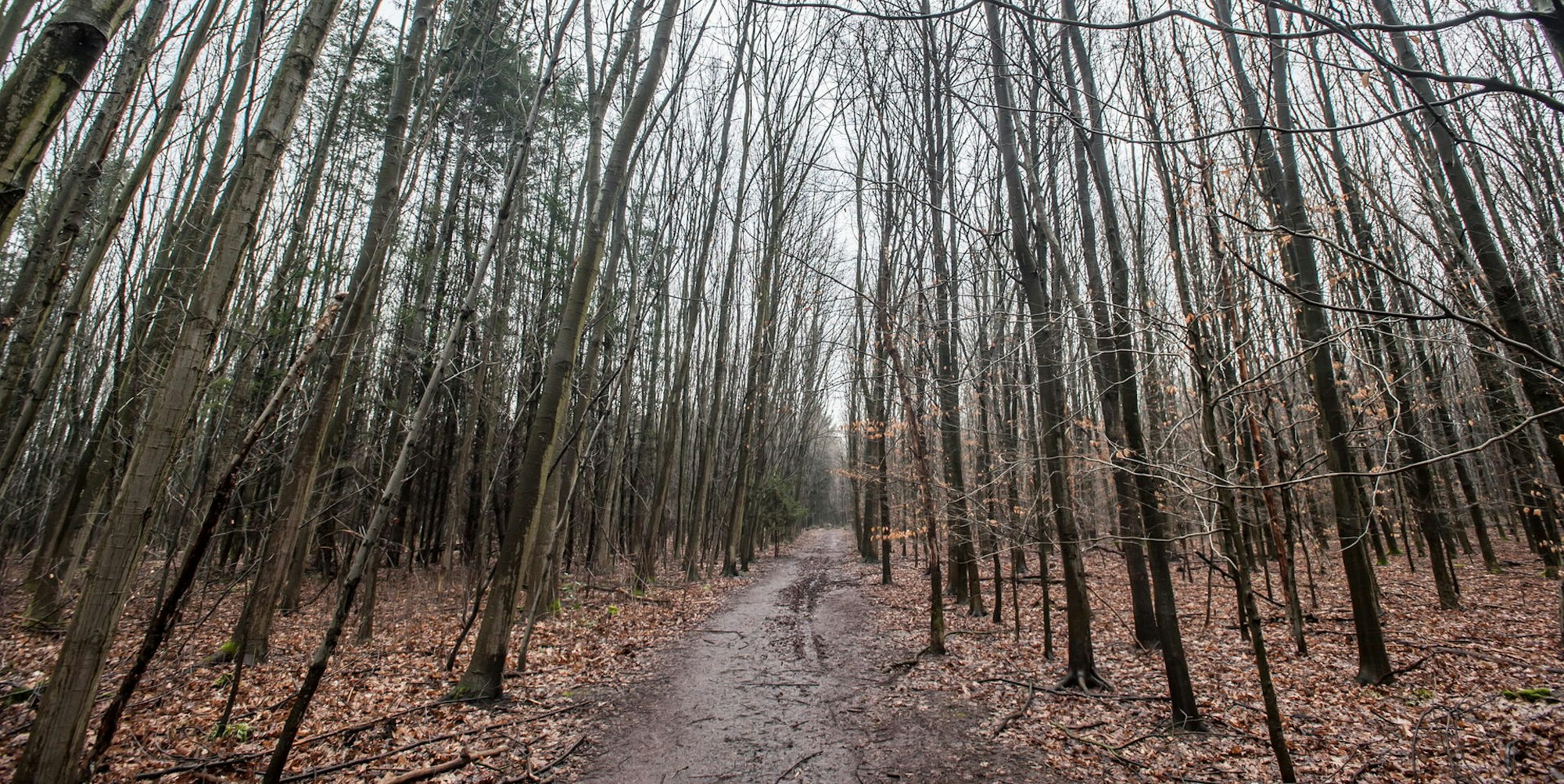 leverkusen-buergerbusch-ALF_8770_krieger