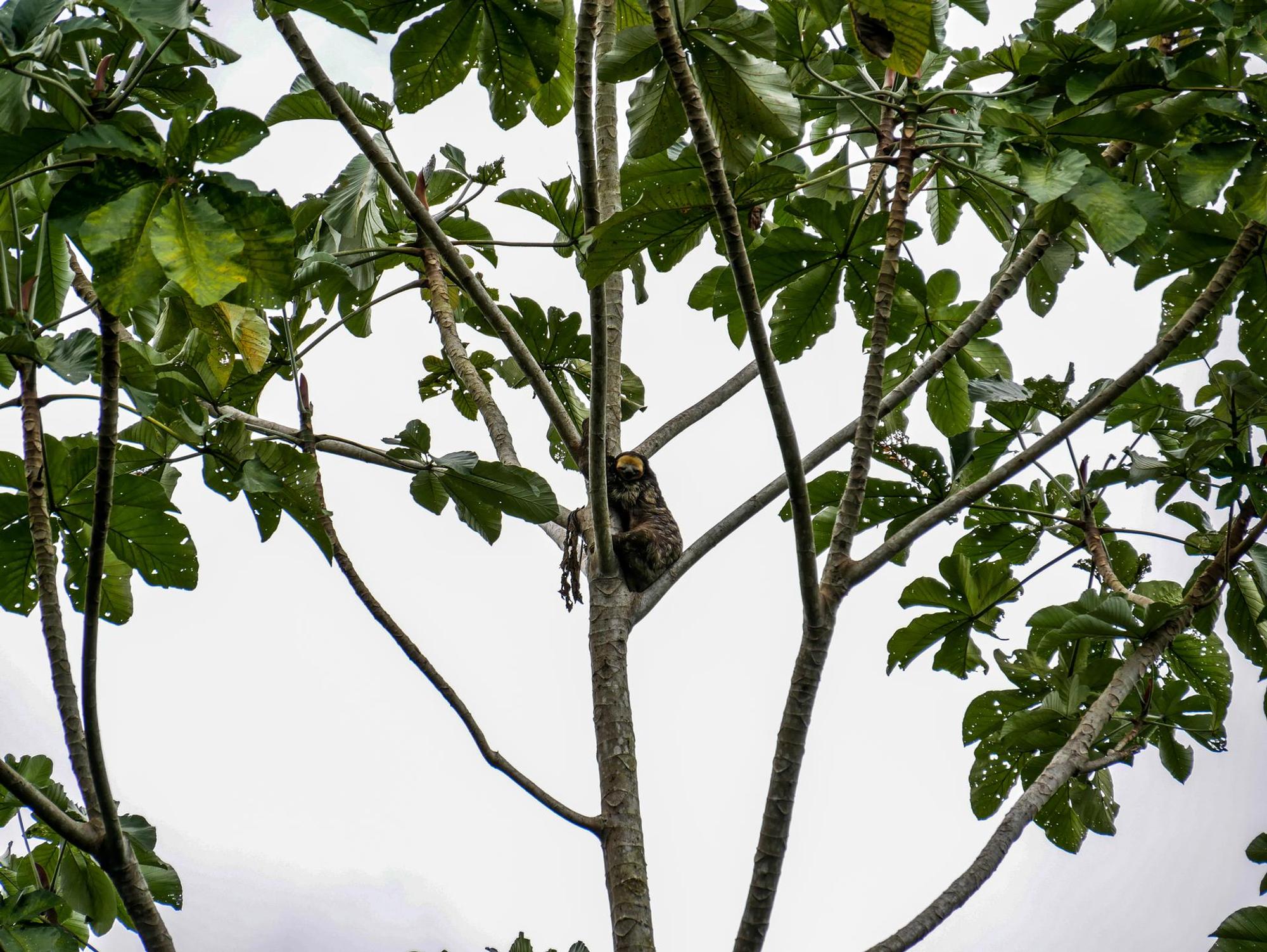Neuer Inhalt (1)