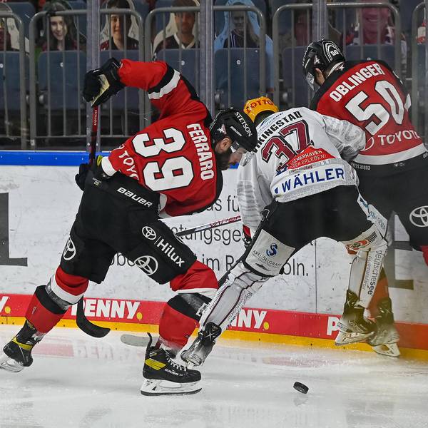 Kölner HAIE 3. Januar