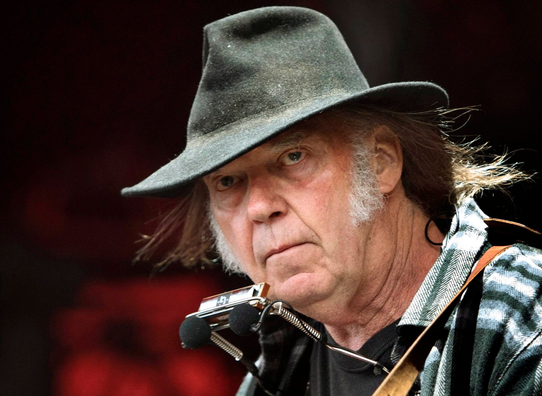 Neil young dpa neu
