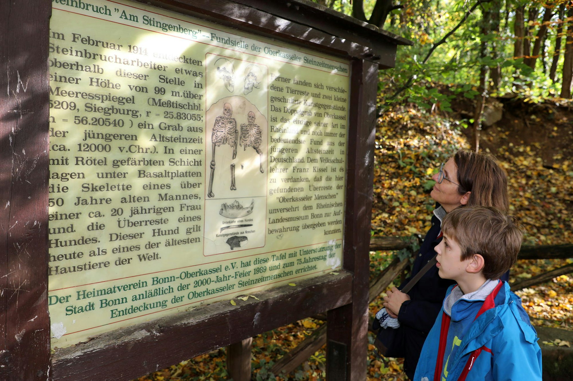 Siebengebirge_Rabenlay-Oberdollendorf_8202