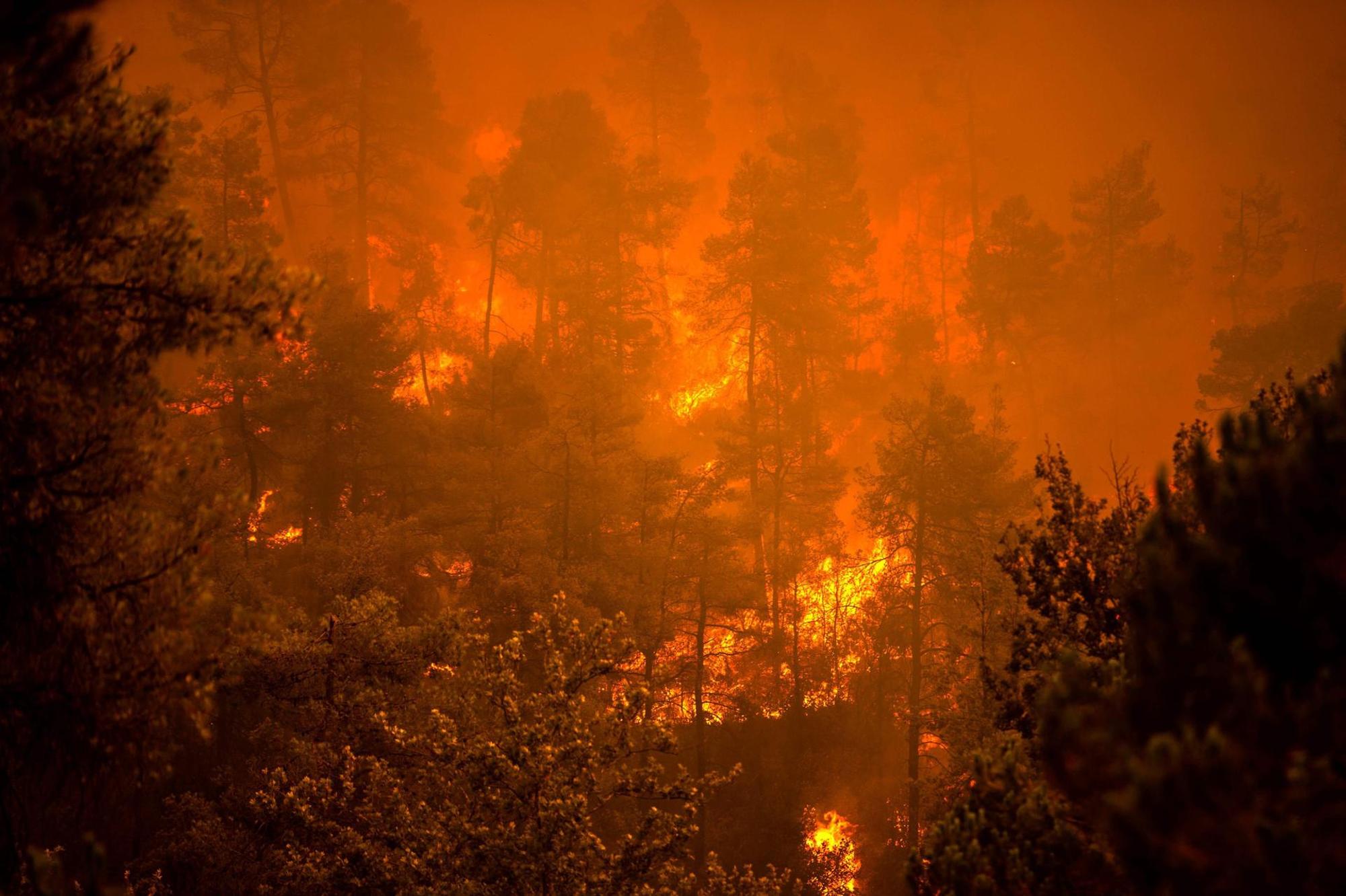 Euböa Flammen afp