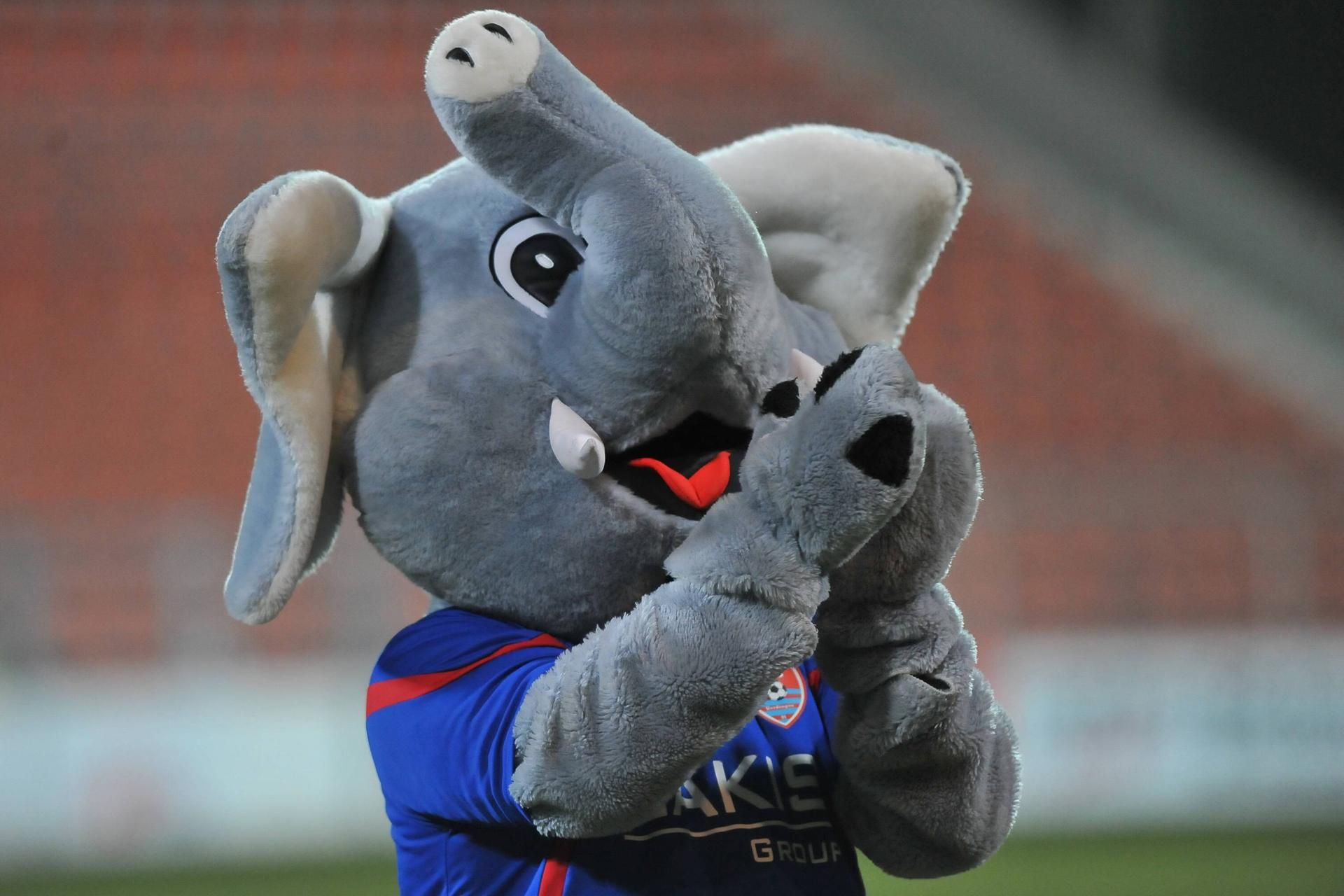 PIC Grotifant