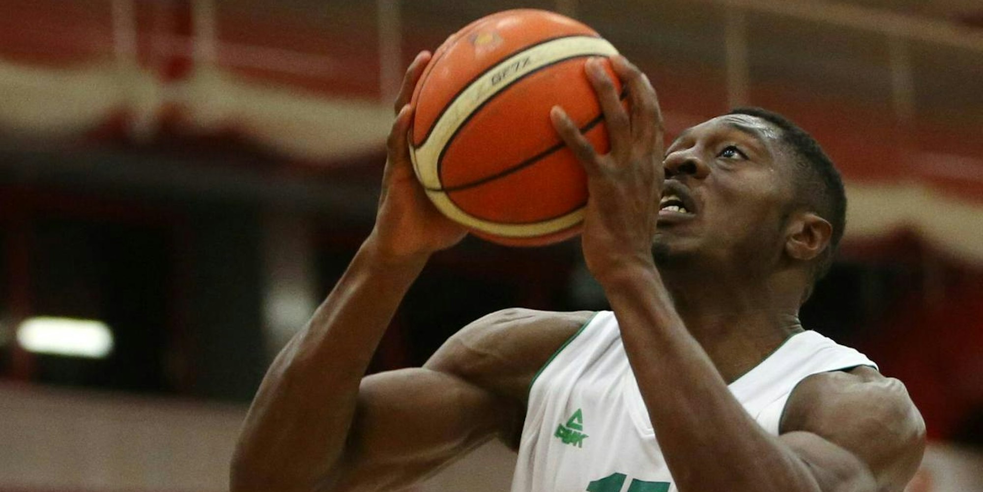 Rheinstars Neuzugang