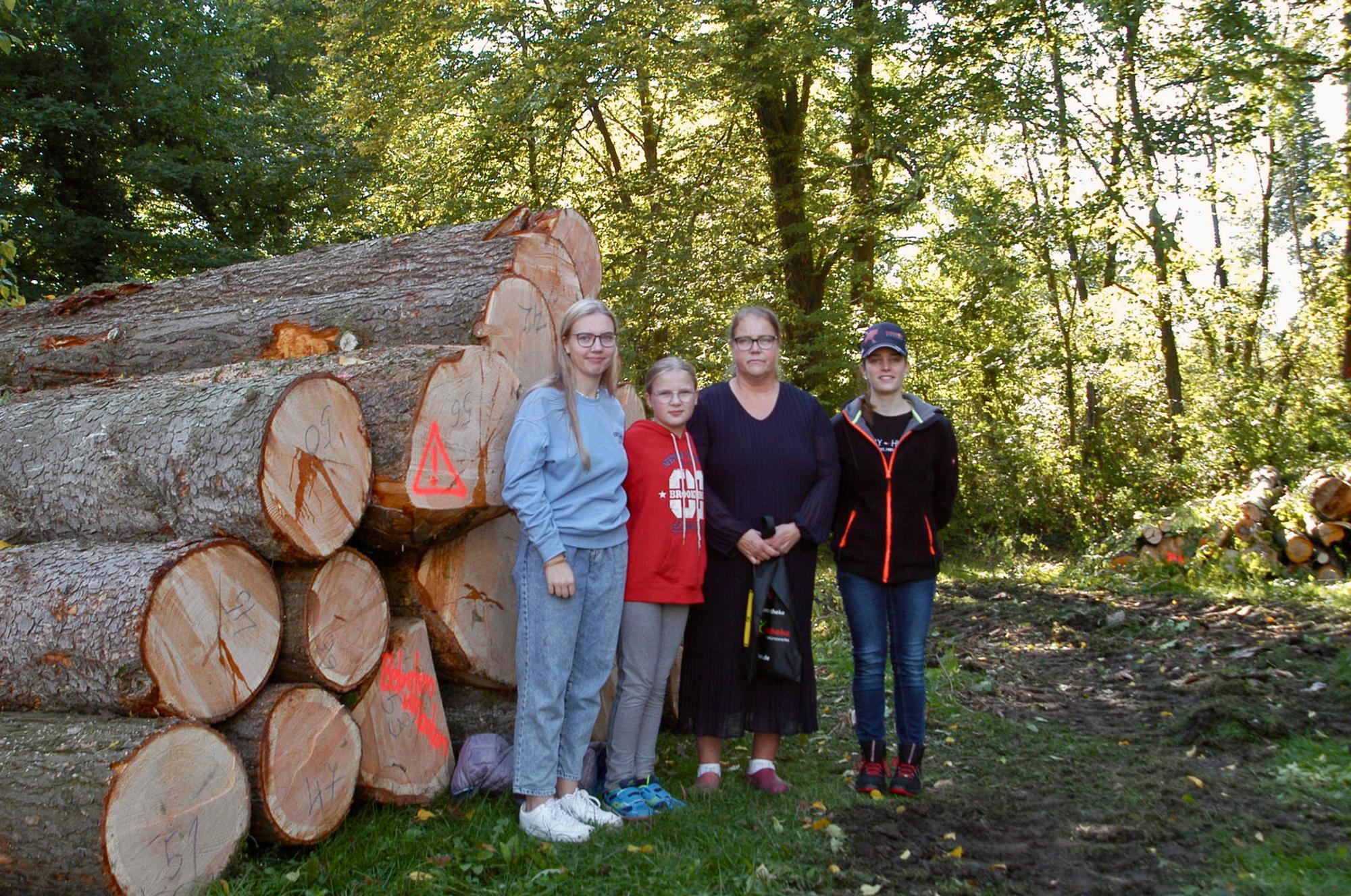 Neuer Inhalt (2)