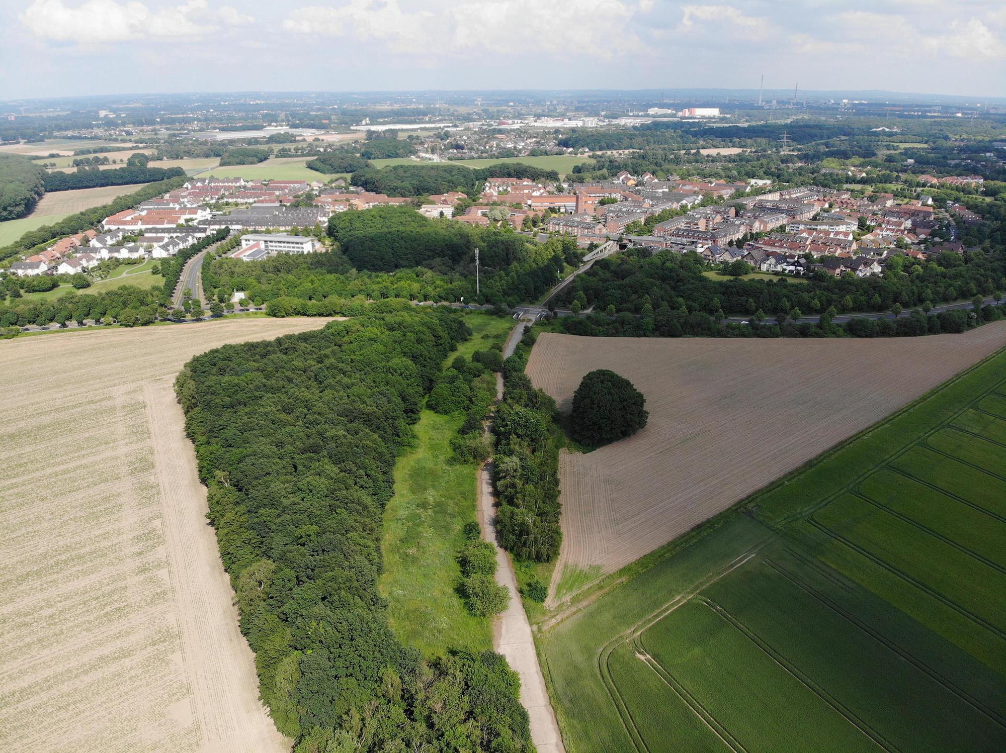 K_Neubaugebiet_Kreuzfeld_rer_1