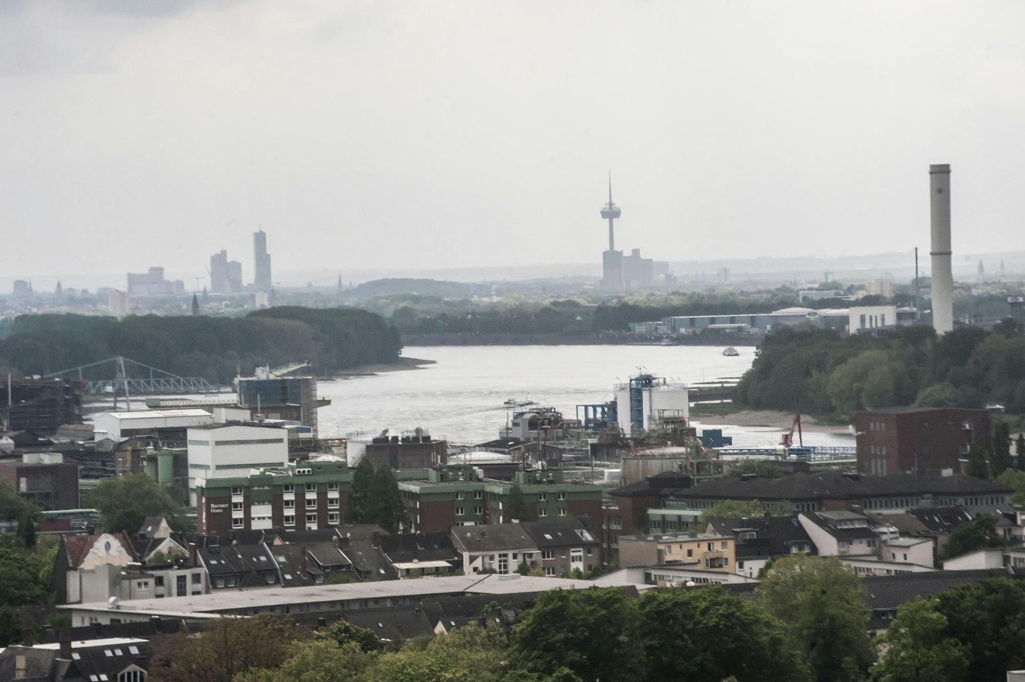 leverkusen-rhein-koeln--alf_7300