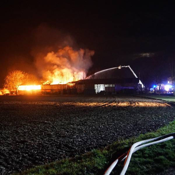 Großbrand dom esch