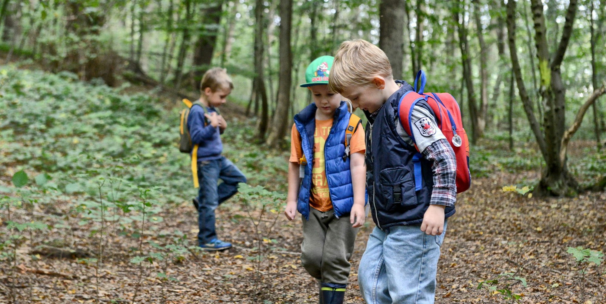 20140910_Walderkundung_HGM_002