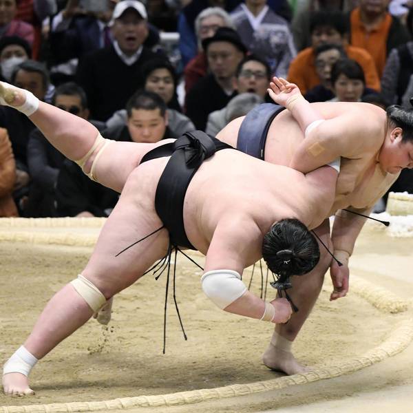 Sumo-Ringer