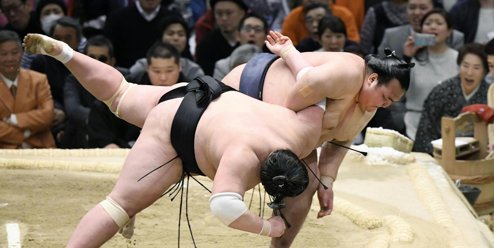 Sumo-Ringer