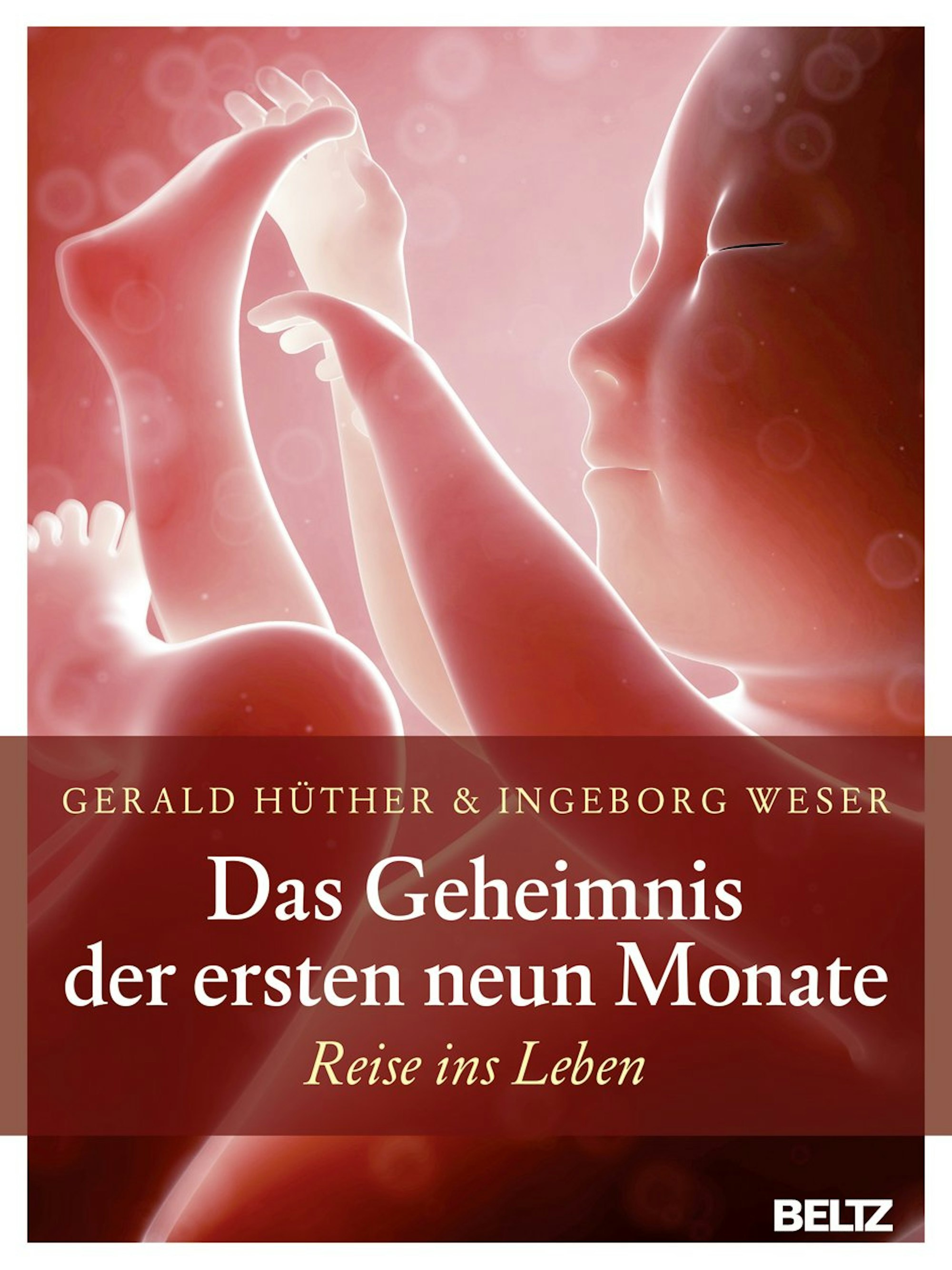Cover Das Geheimnis der ersten neun Monate