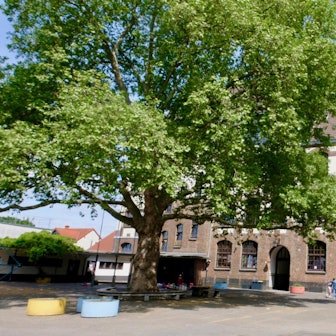 Schulhof GGS Müngersdorf_1