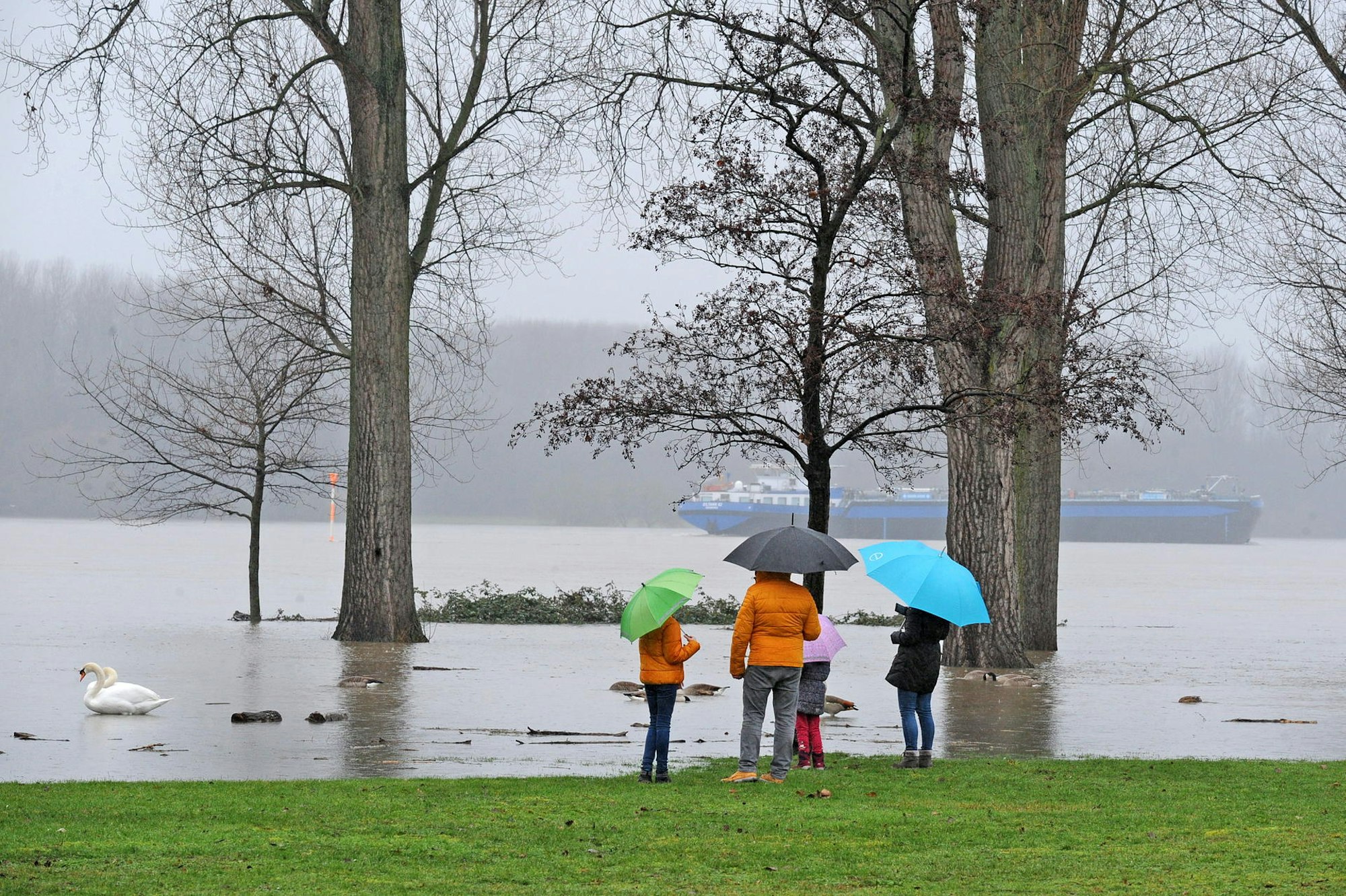 LE_hochwasser-hitdorf_(18)