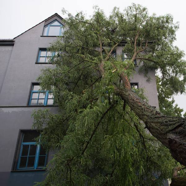 Unwetter Haus Baum Schaden