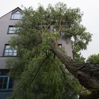Unwetter Haus Baum Schaden