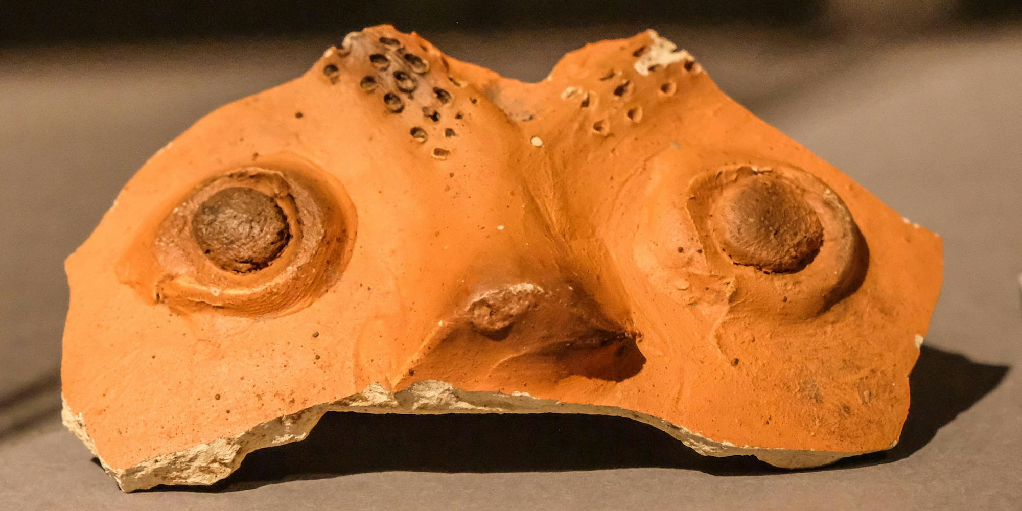 20191025_Funde_HGM_08