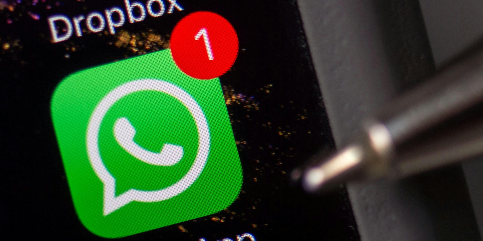 WhatsApp_53144306