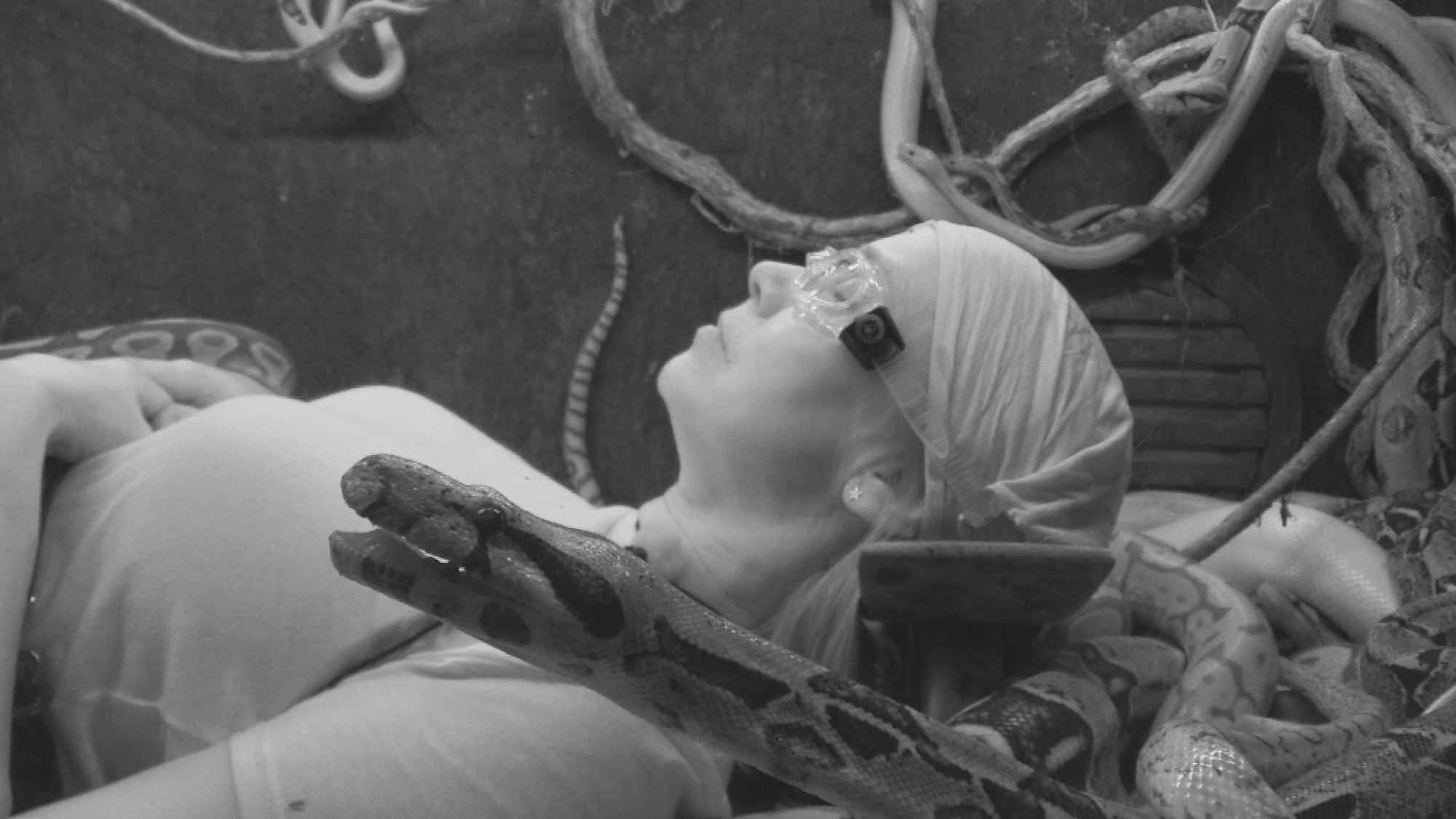 Dschungelcamp Schlangengrube